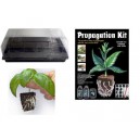 Kit bouturage