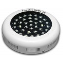 SpectraSPOT 36 blue