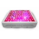 Spectra PANEL X327