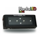 SpectraPANEL 30+