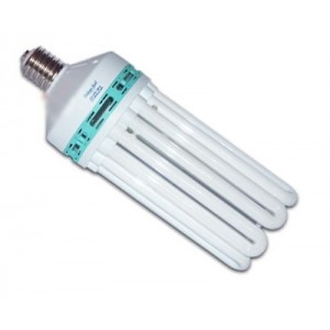 Ampoule CFL DUAL 250w Croissance / Floraison Ampoule CFL DUAL 250w Croissance / Floraison