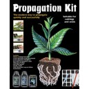 Pack Bouturage Clonex / Formulex / Cubes / etc.