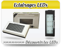 led horticole