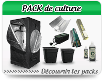 pack de culture en intérieur