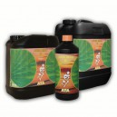 Atami Awa Max A & B floraison 1L