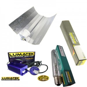 Kit HPS 600W LUMATEK - Electronique HPS/MH