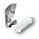 Kit Eco CFL 200 W - croissance - 6400 K
