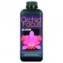 Ionic Orchid Focus Bloom 1 L 