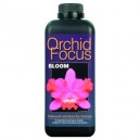 Ionic Orchid Focus Bloom 1 L 