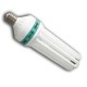 Ampoule ECO Croissance