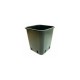 Pot carré (23X23xH26cm) - 11L x 50 