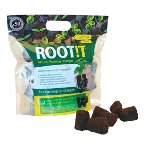 ROOT IT 50 Blocs