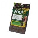 ROOT IT  24 blocs