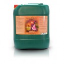  House & Garden Composant-1 Terre 10 L 