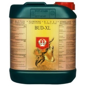  House & Garden Bud XL 5 L 