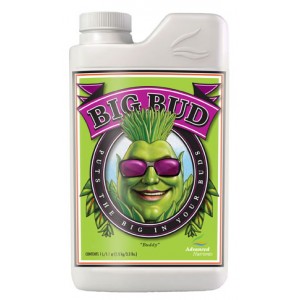Advanced Nutrients Big Bud  1 L épuisé