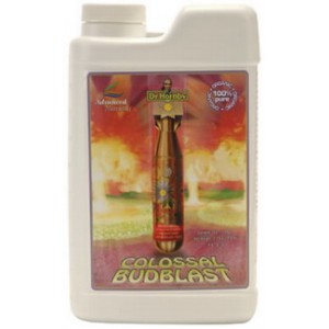 Advanced Nutrients Super Nutrient Colossal Bud Blaster 1 L épuisé