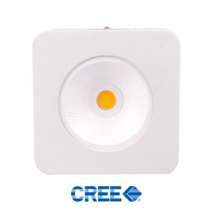Bionicled - BionicPan - PP0210WB - COB BRIDGELUX