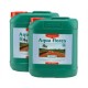 Canna  Aqua Flores A + B   2 x 5 L