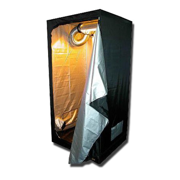 Chambre culture Dark Room 2 / DR2 60 CityPlantes
