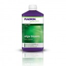 Plagron Alga Floraison 1L
