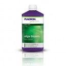 Plagron Alga Floraison 500ml