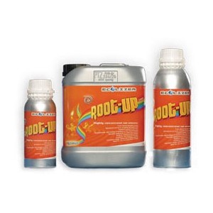 Ecolizer Root Up 300 ml