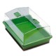 Mini Serre Plastique rigide 38 x 24 x h/19 cm