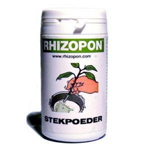 RHIZOPON AA (Hormone de bouturage) - CityPlantes - Growshop en ligne