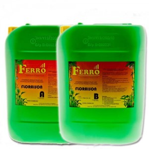 Ferro Bloom A+B 2x5 litres