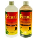 Ferro Grow A+B 2x1 litre