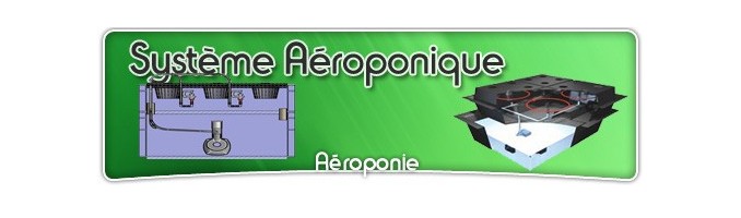 Système aéroponique