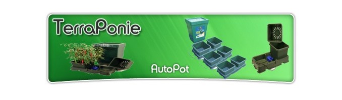 AutoPot - Terraponie