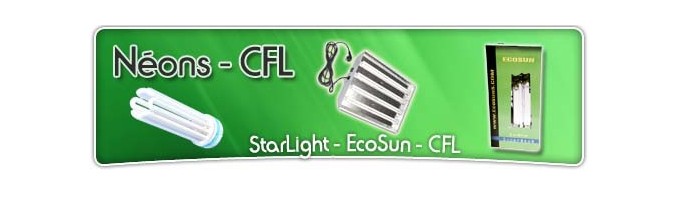 Kit Néon - CFL - Bouturage