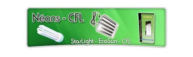 Kit Néon - CFL - Bouturage