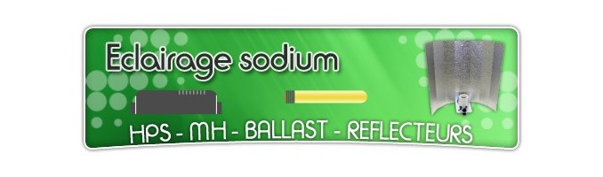 Eclairage horticole HPS sodiums