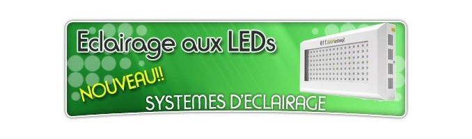 Eclairage horticole aux LEDs
